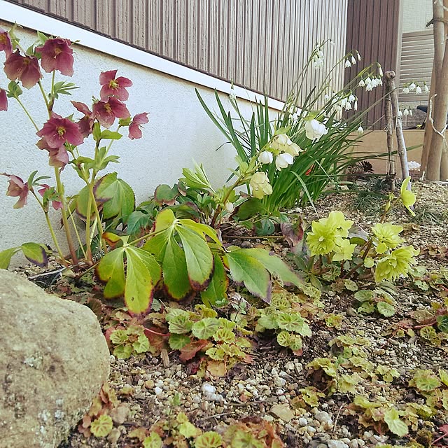 shumecoさんの実例写真