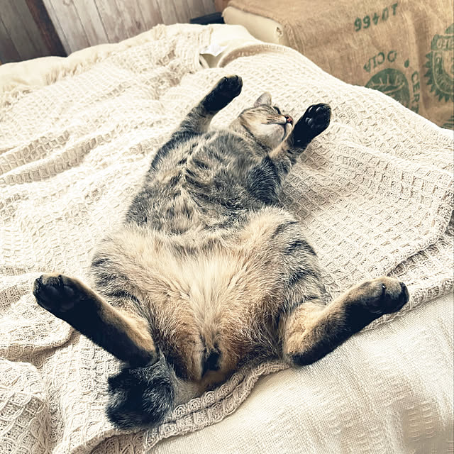 Mさんの実例写真