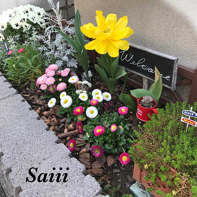 Saiiiさんの実例写真