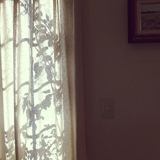 Claraさんの実例写真