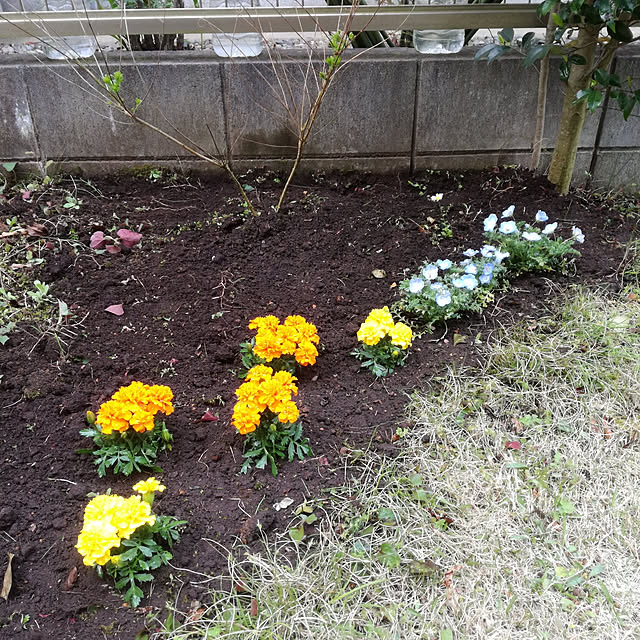 teruさんの実例写真