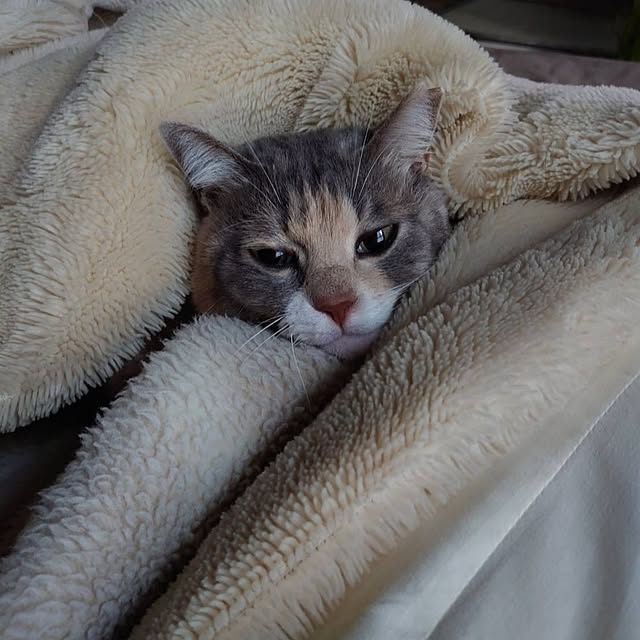 fukuさんの実例写真