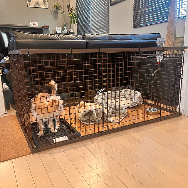 ratakoさんの実例写真