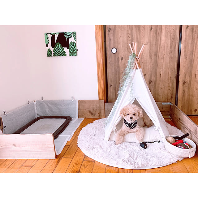 teaさんの実例写真