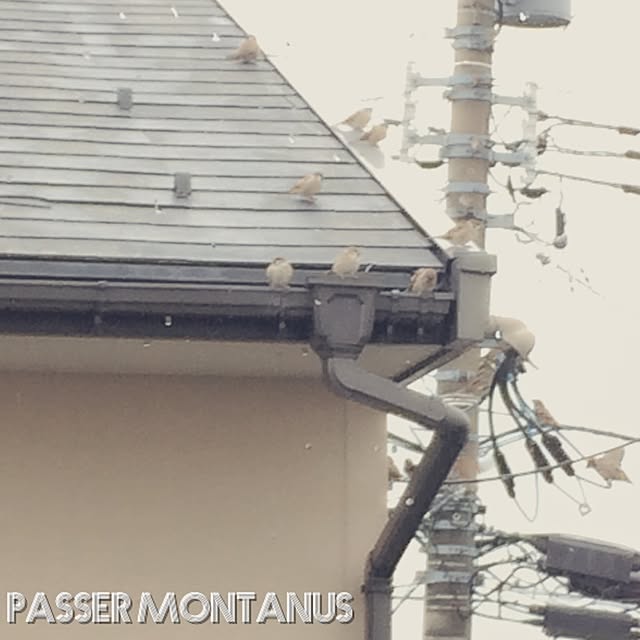 Reさんの実例写真