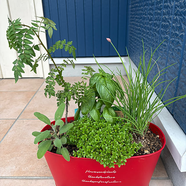 naotokahoさんの実例写真