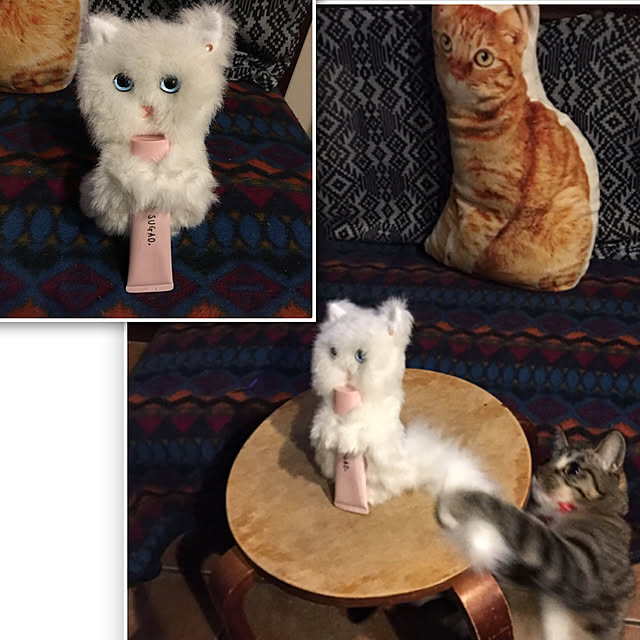 shigimiさんの実例写真