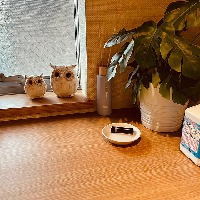 玄関/入り口/モンステラ/玄関ディスプレイ/ビーカンパニー/ヘーベルハウス...などのインテリア実例 - 2024-08-07 08:03:05