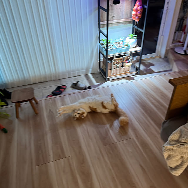 yutaさんの部屋