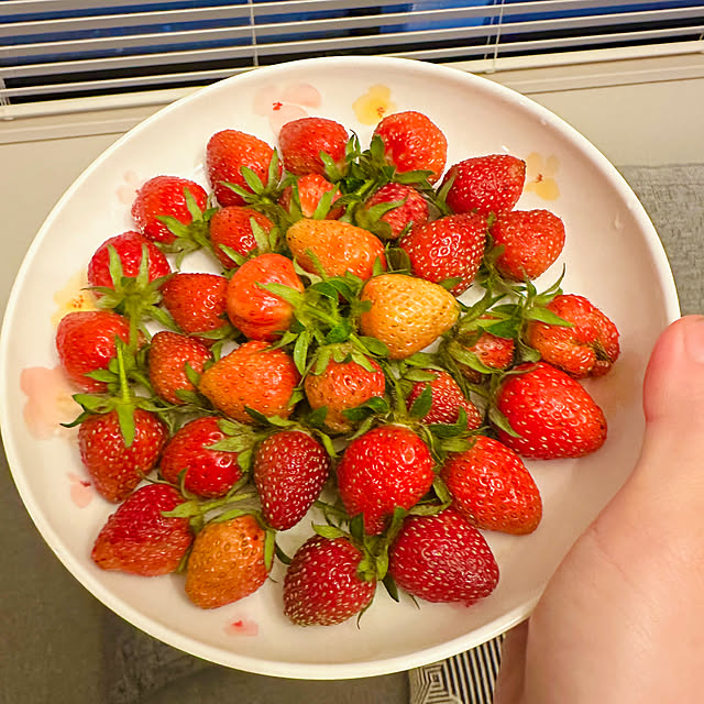 Chimaichanさんの部屋