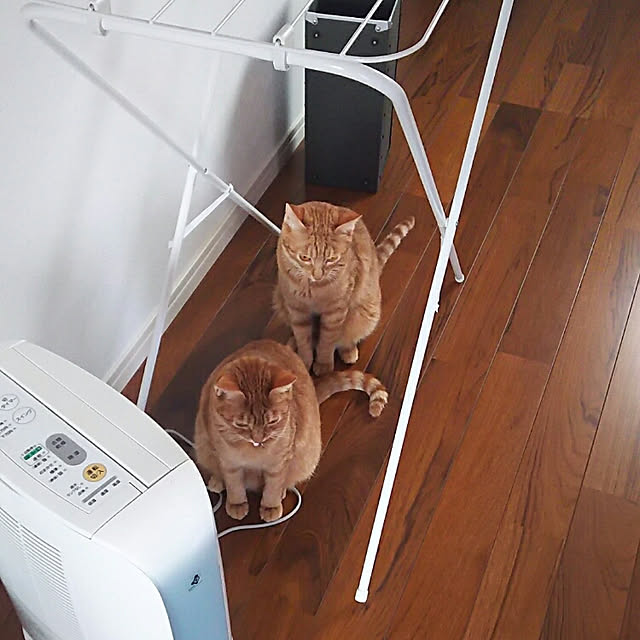37さんの実例写真