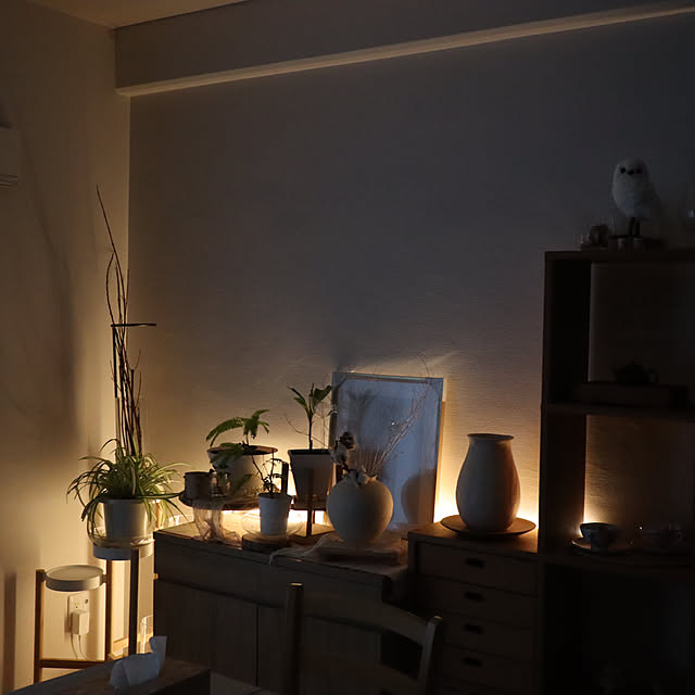 Summerさんの部屋