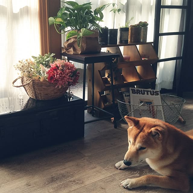 diez_taraさんの実例写真