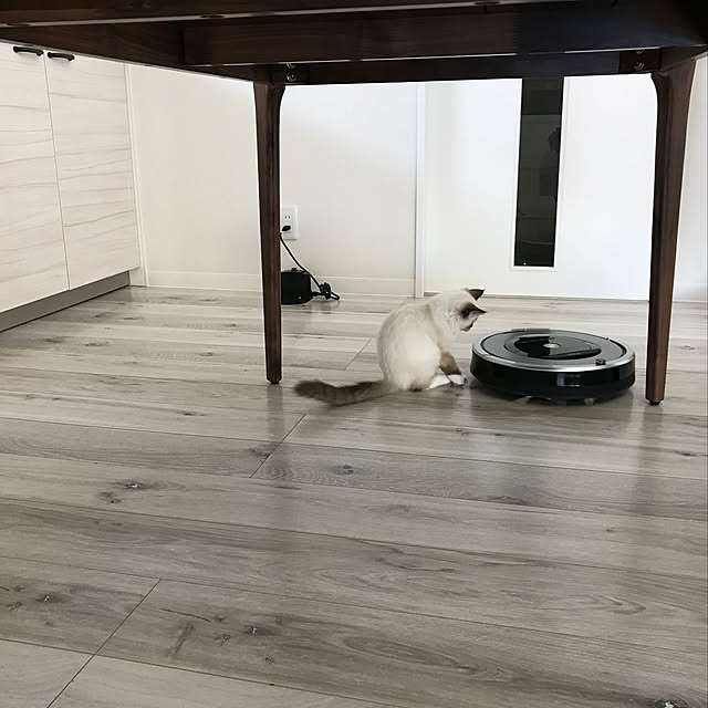 matchaさんの実例写真