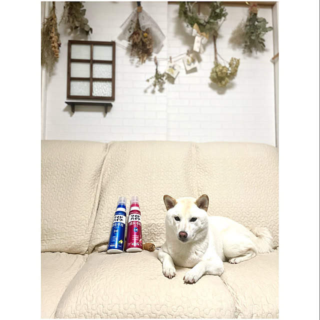 mo-nosukeさんの実例写真