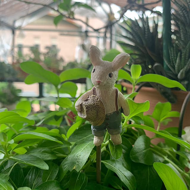 Aqettyさんの実例写真