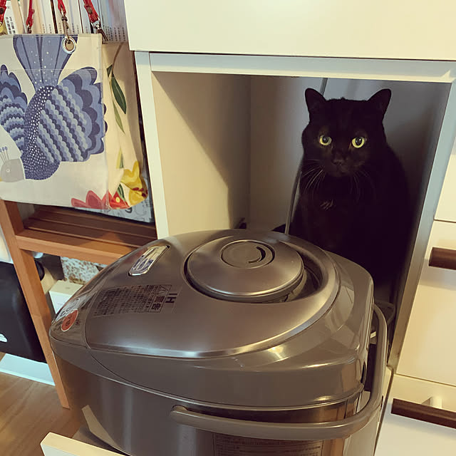 momoさんの実例写真