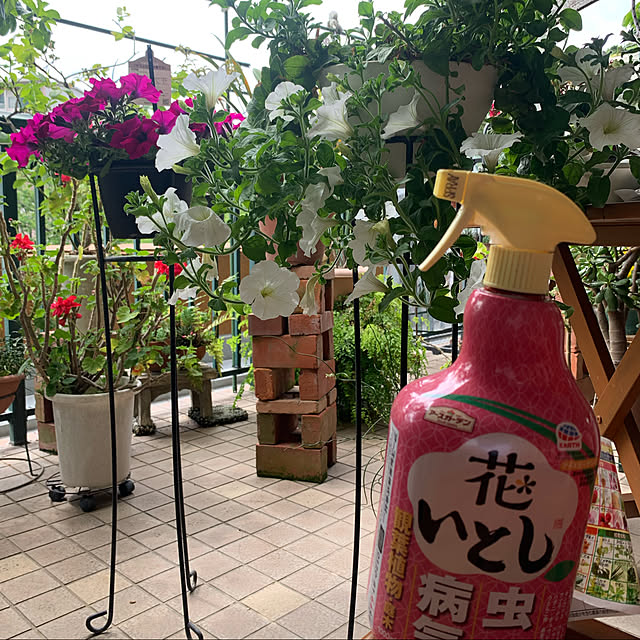 Aqettyさんの実例写真