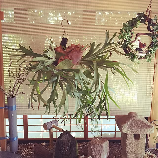 実例写真