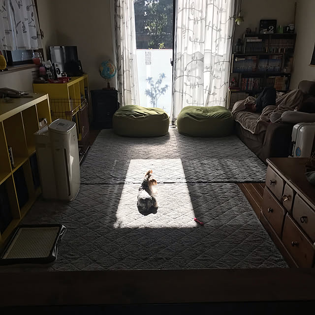 kimucciさんの実例写真