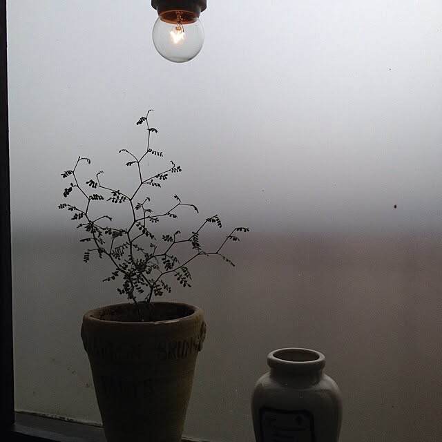 kimuさんの実例写真