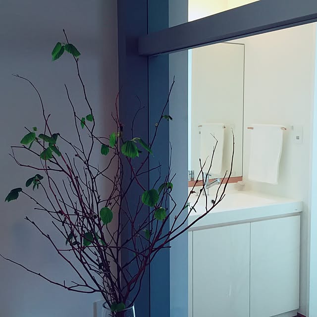 yu3koさんの実例写真