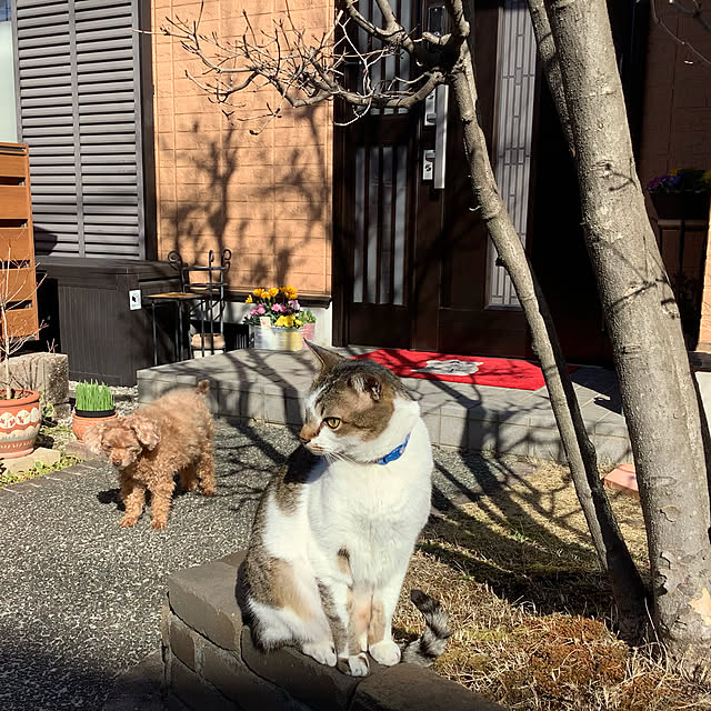 haruminさんの実例写真