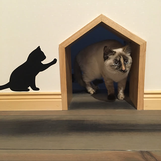 Moricさんの実例写真
