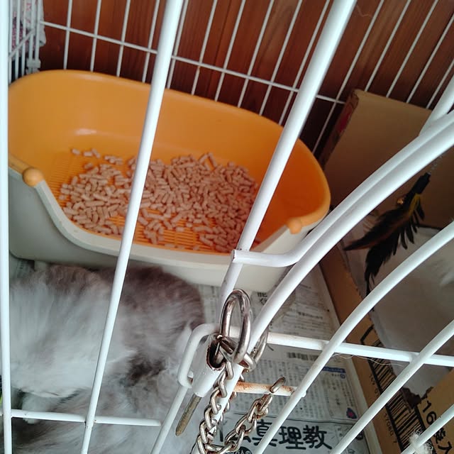 makaronさんの部屋