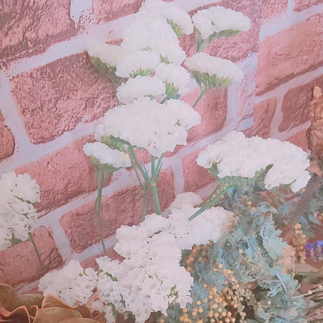 ksyf-naturalさんの実例写真