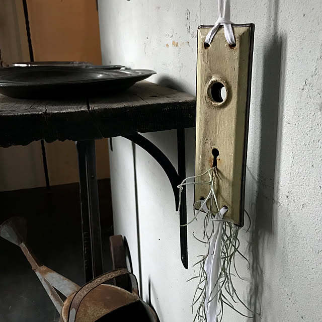 iireyさんの実例写真