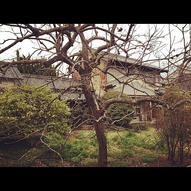 Junk_sweet_Garden_teftefさんの実例写真