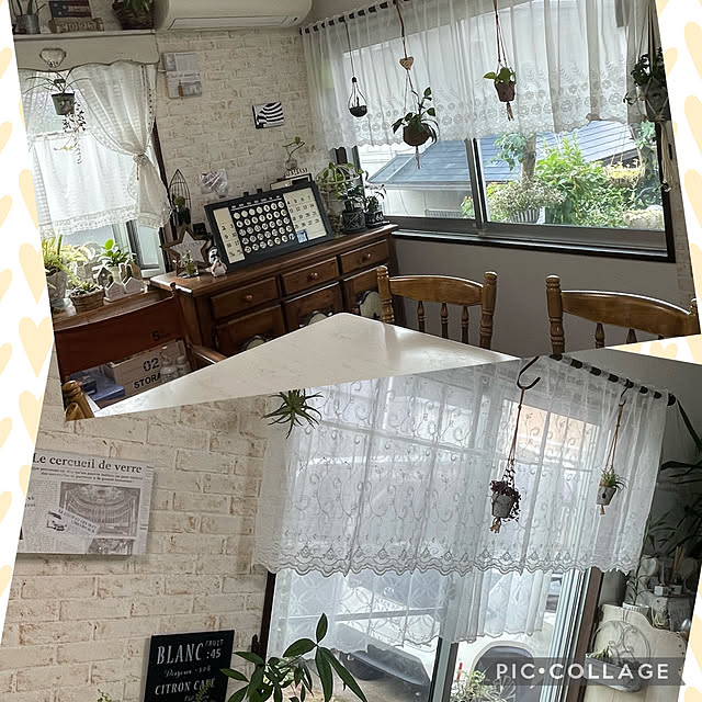 burgundy.roseさんの部屋