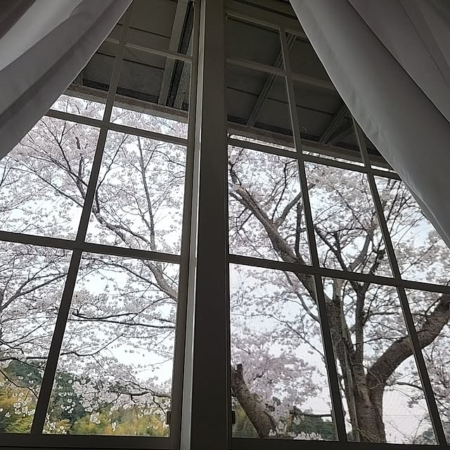 taeraさんの実例写真