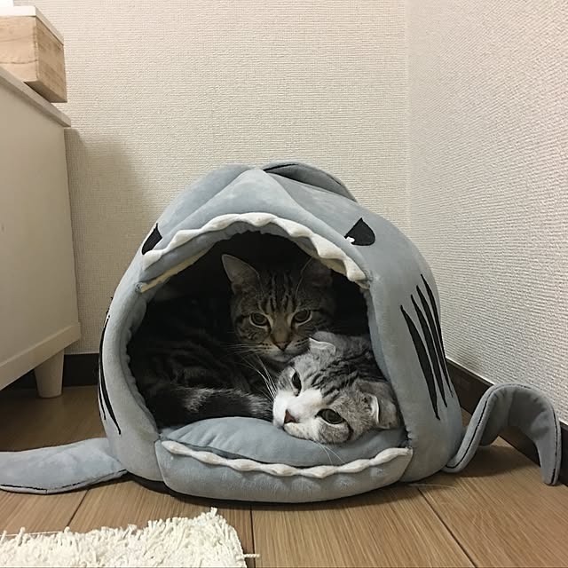 tomommyさんの実例写真