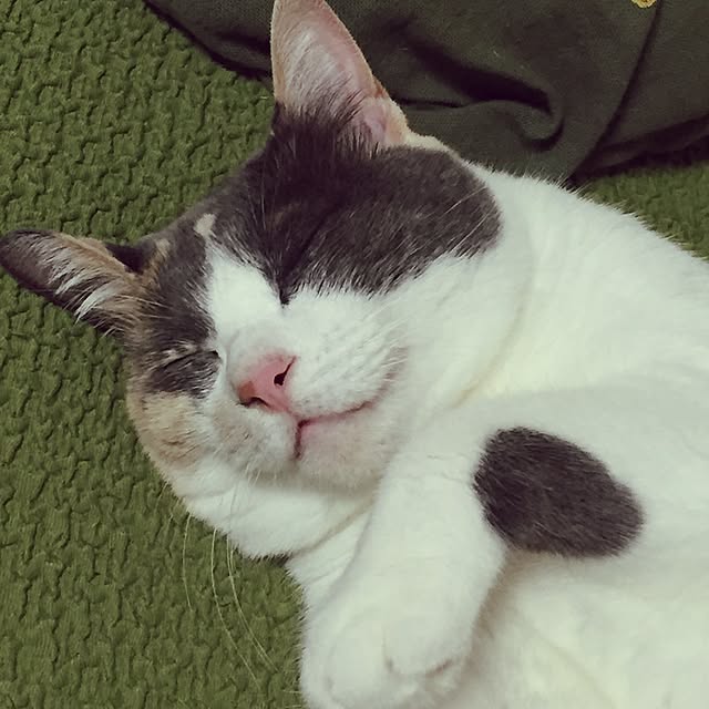 yumasukeさんの実例写真