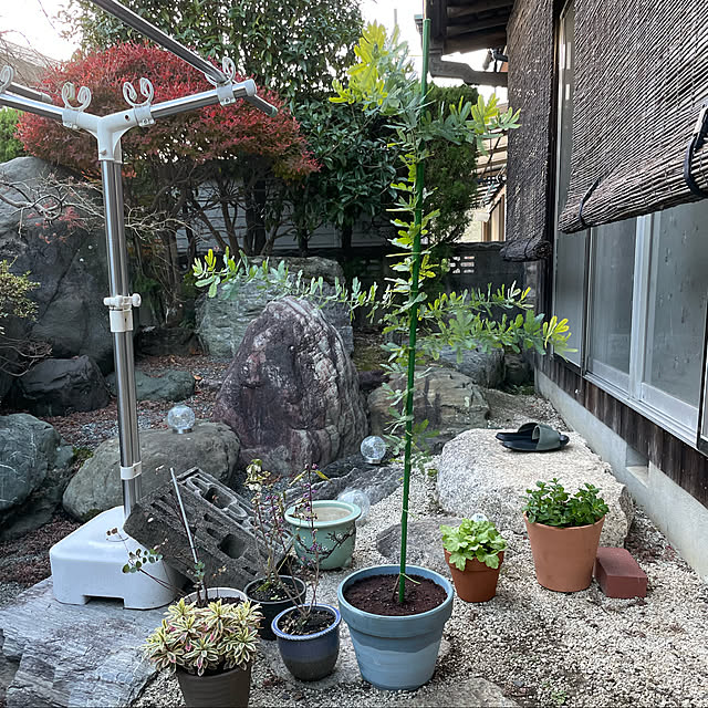 shin0719さんの実例写真
