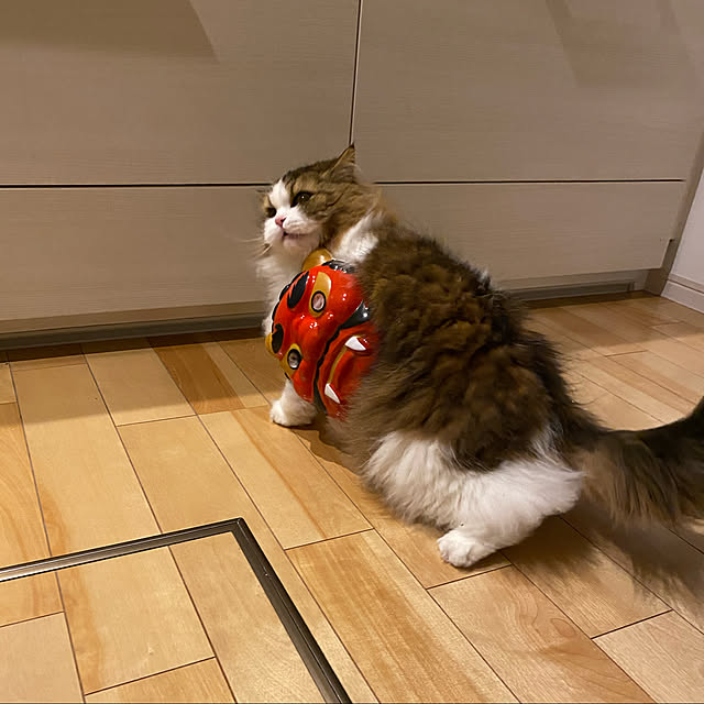 cotesanさんの実例写真