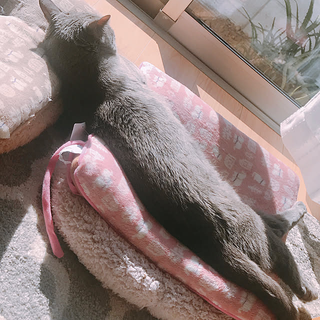 azu2213さんの実例写真
