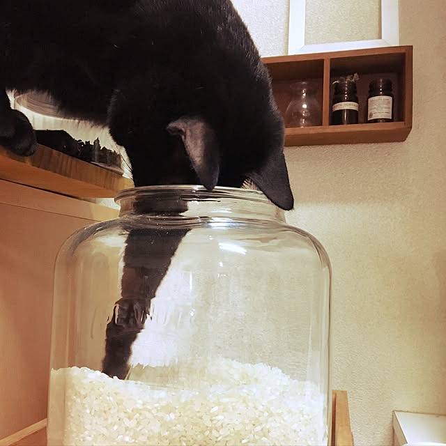 mahi1101さんの実例写真