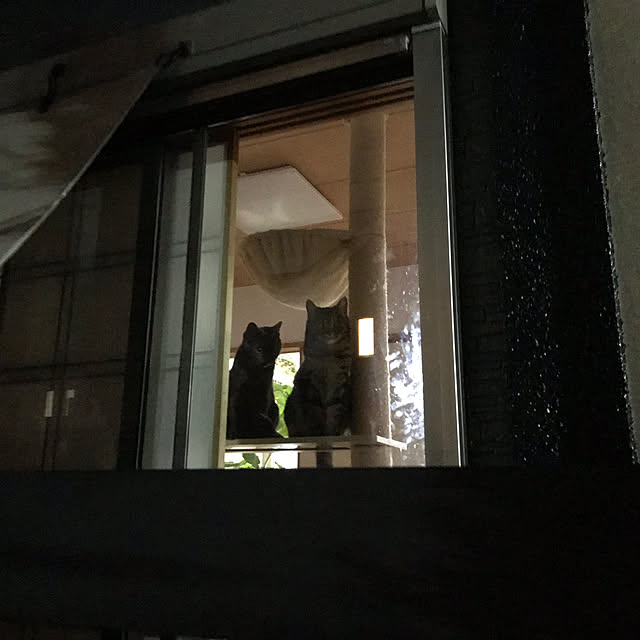 Chocolatさんの実例写真