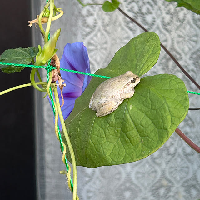 ritsukoさんの部屋