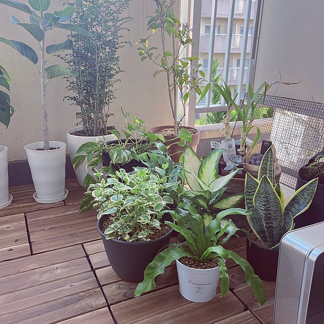 ookiniさんの部屋