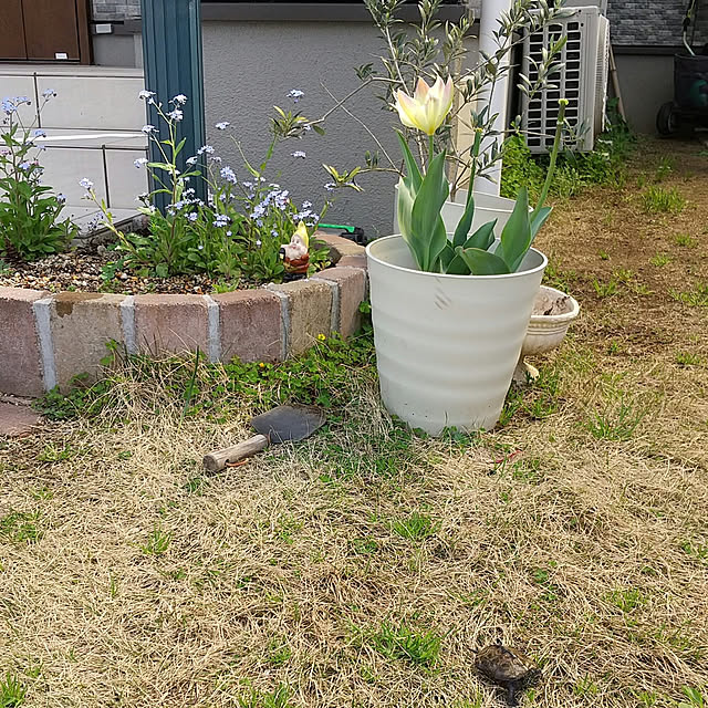 _+_ais_+_さんの実例写真