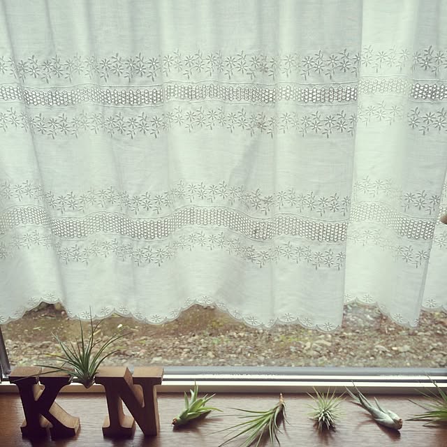shimajirouさんの実例写真