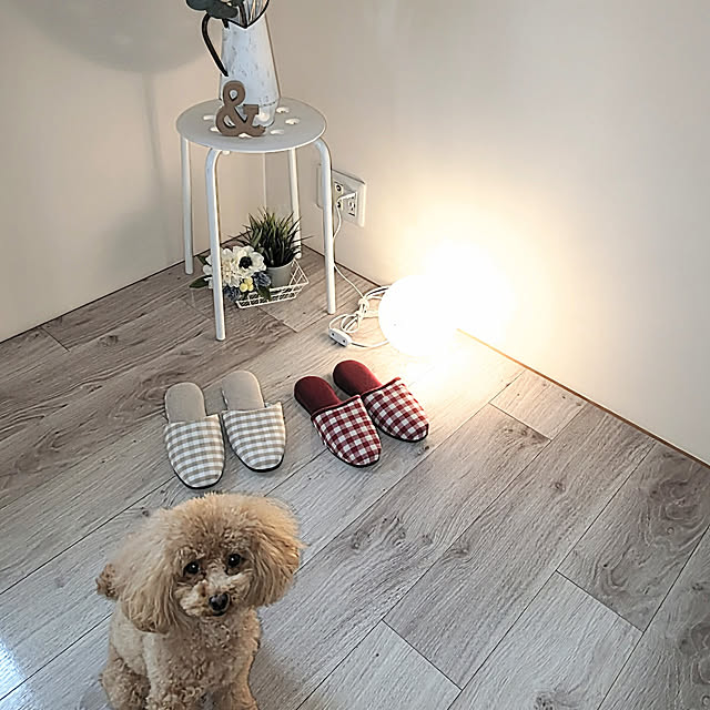 erisavesu4さんの実例写真