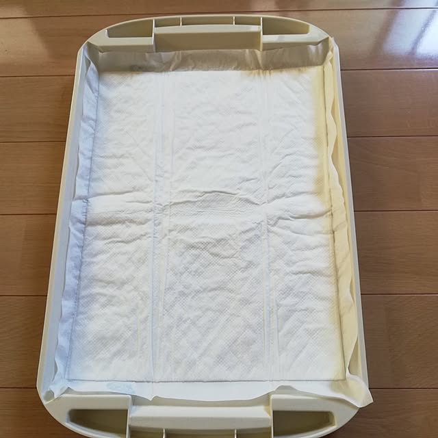 pinokoさんの部屋