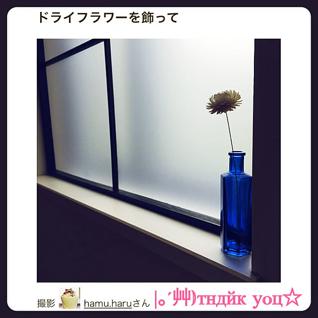 hamu.haruさんの実例写真