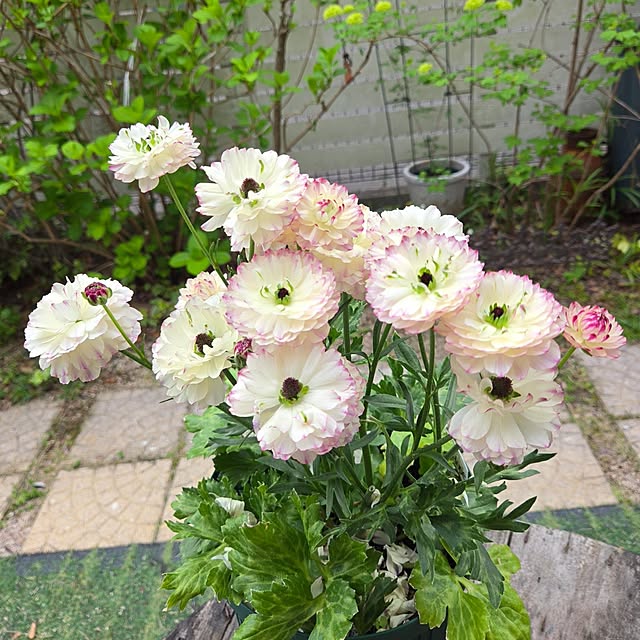 min_nimさんの部屋