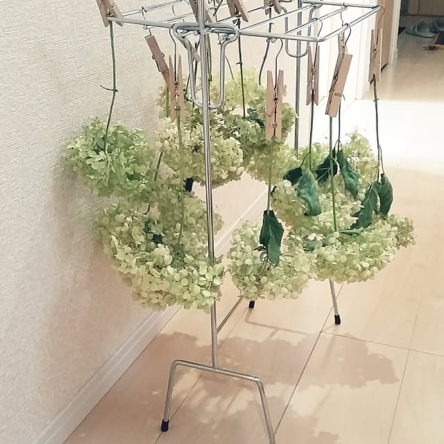 nia1213さんの実例写真